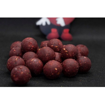 Бойлы Dudi Forest Squid пылящие 16mm-1kg